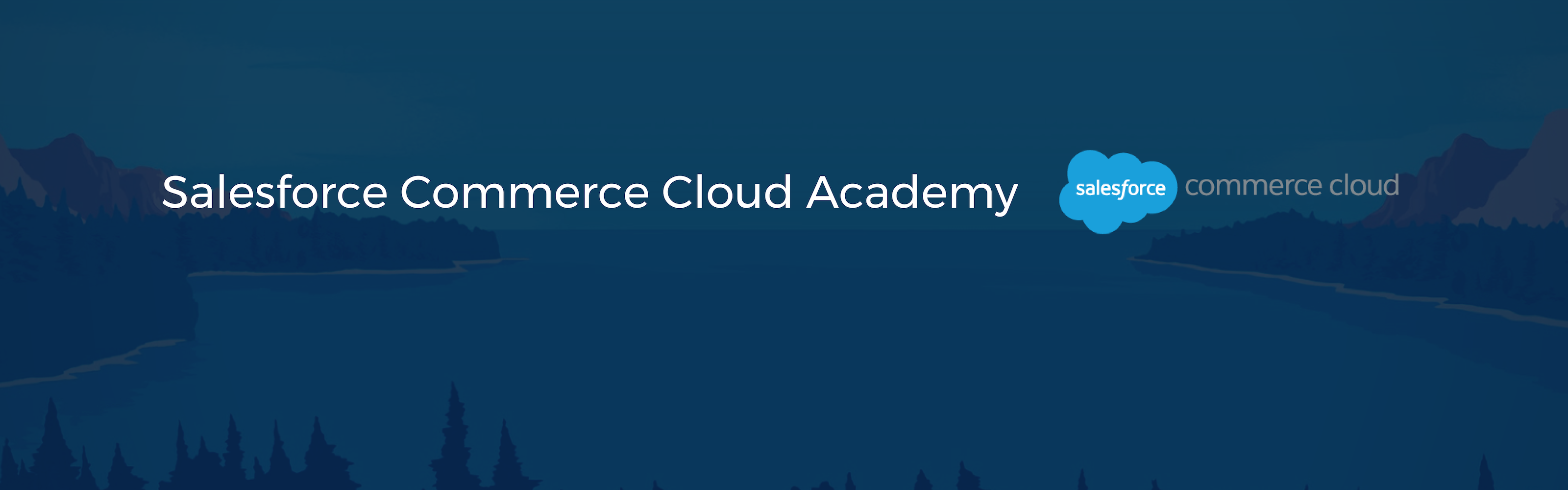 The Salesforce Commerce Cloud Academy by VISEO