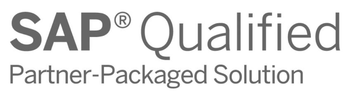 Logo SAP Qualified Partner Packaged Solution