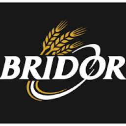 logo Brdor