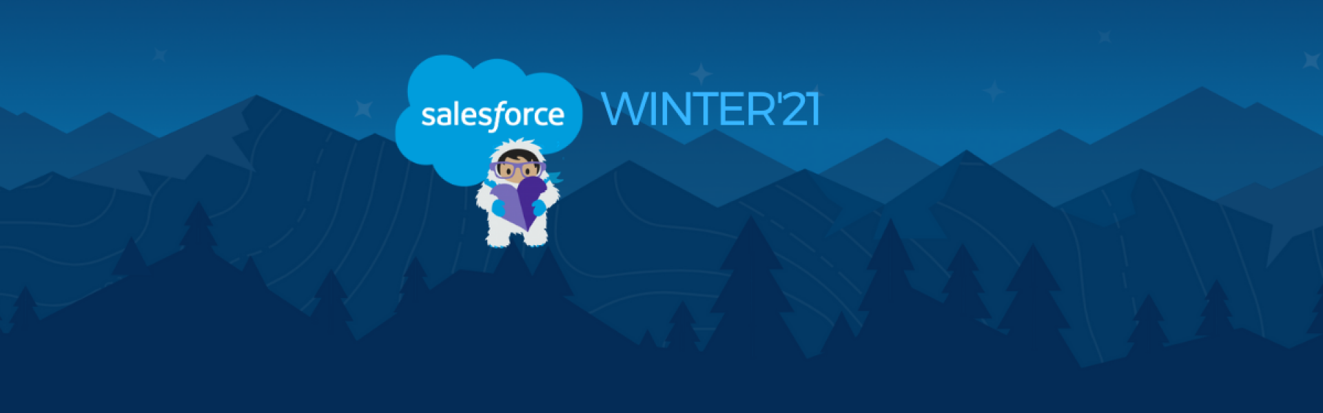 Salesforce winter'21