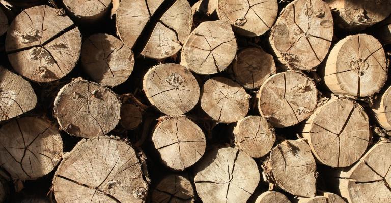World leader in wood manufacturing boosts its CRM with the help of Salesforce and VISEO