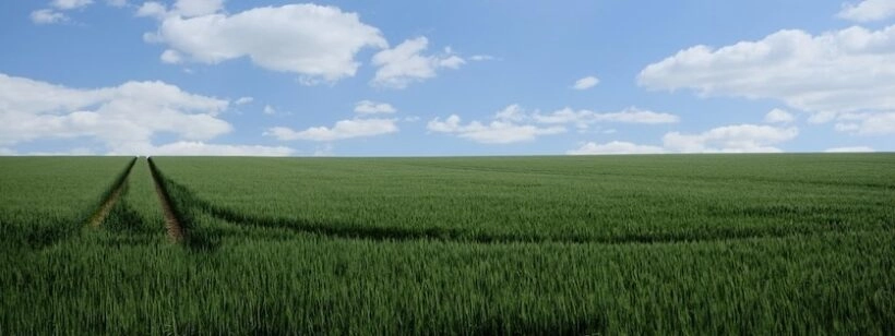 Salesforce Consumer Goods Cloud : Agromousquetaires digitalise sa force de vente terrain